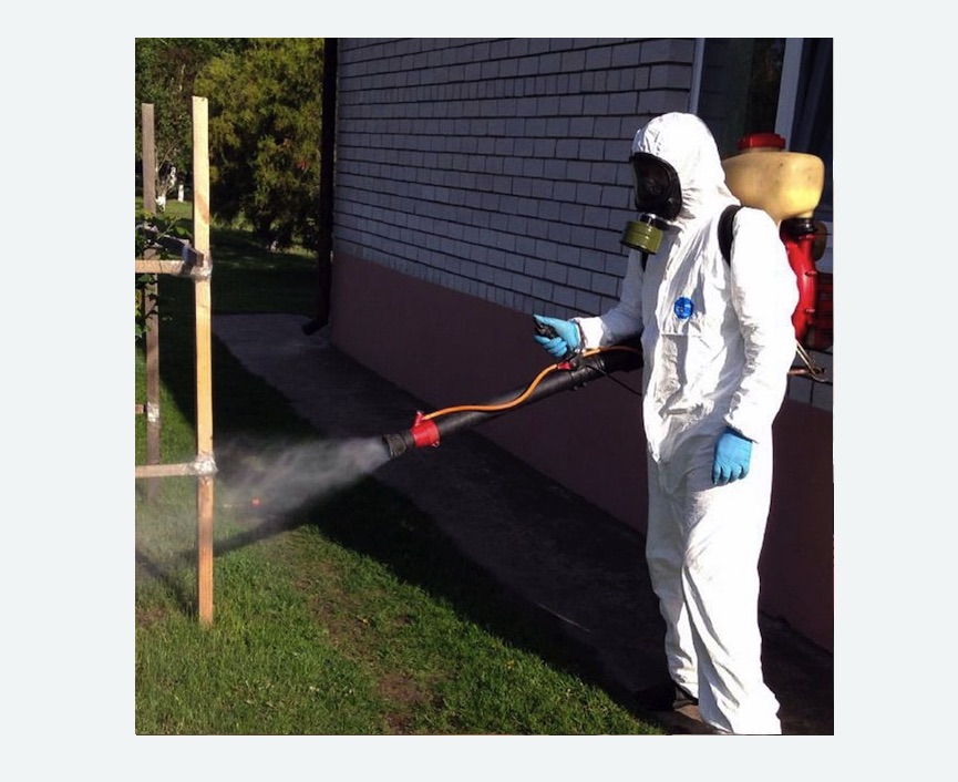 уничтожение клещей на участке травля клещей на участке в Войковском районе Москвы