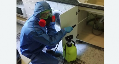 Уничтожение муравьев в квартире. Войковский район