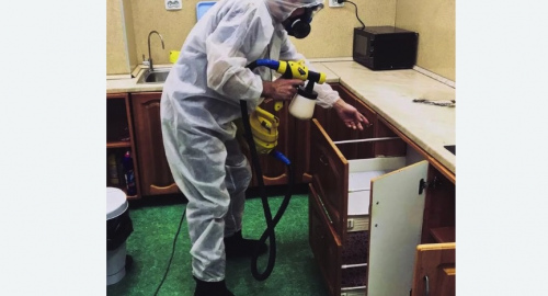Уничтожение насекомых в квартире. Войковский район