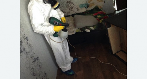 Обработка квартир от насекомых в Войковском районе Москвы