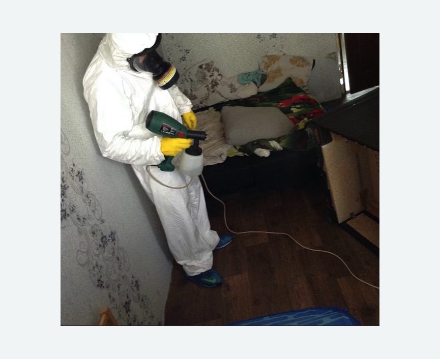 Обработка от насекомых в Войковском районе Москвы Обработка квартиры от насекомых