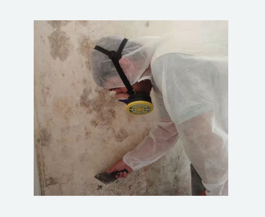 Обработка стен от плесени Обработка стен от плесени в Войковском районе Москвы