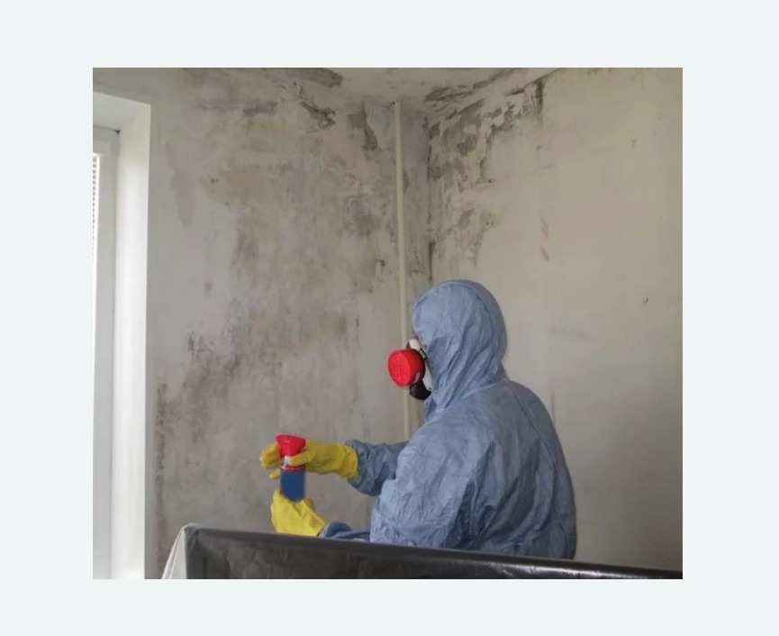 Удаление плесени в квартире Удаление плесени в квартире в Войковском районе Москвы