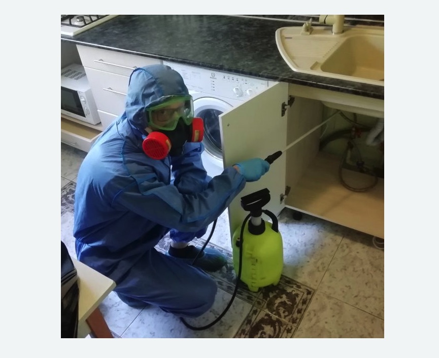 обработка от муравьев в квартире в Войковском районе Москвы