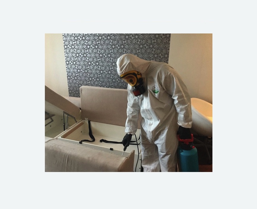 уничтожение клопов в квартире в Войковском районе Москвы