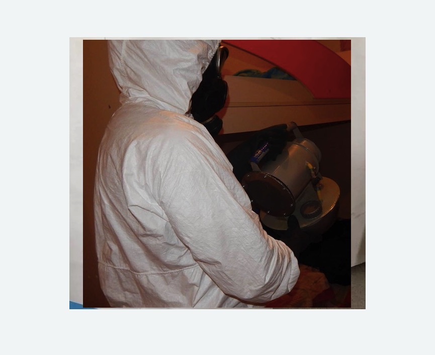 Дезинфекция от муравьев в Войковском районе Москвы